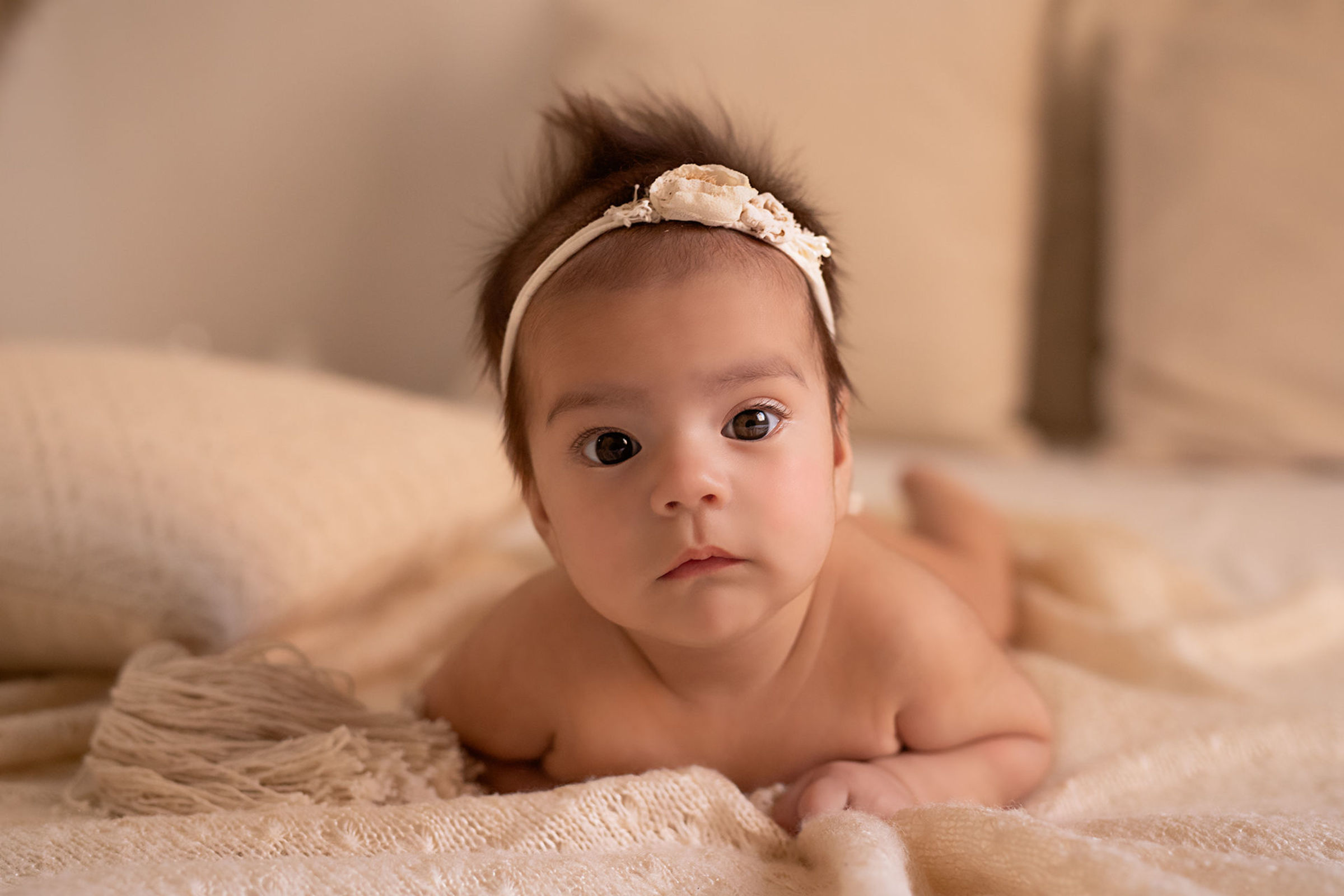 Foto de Adriana Gutierrez Design Photography 25